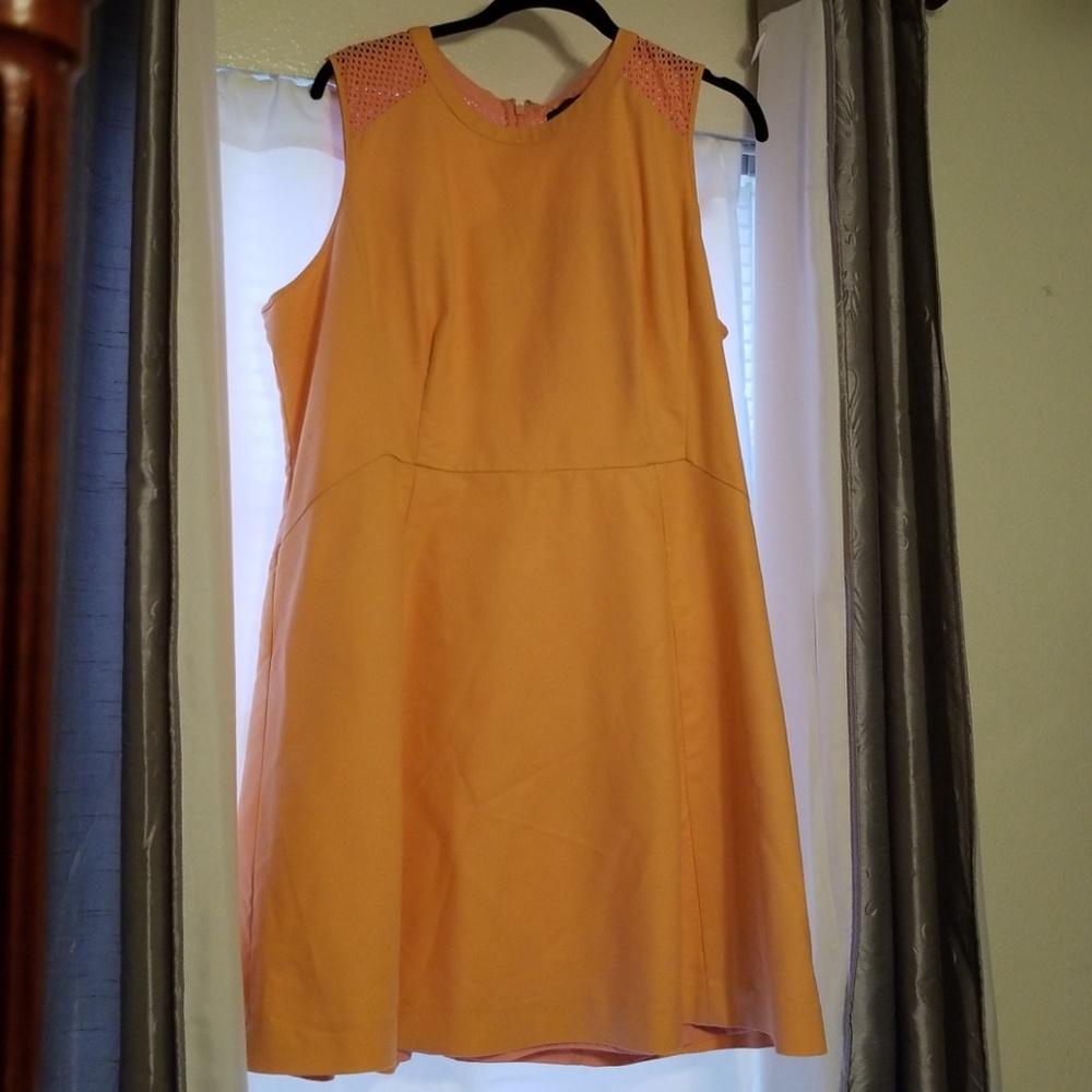 The LIMITED Dress